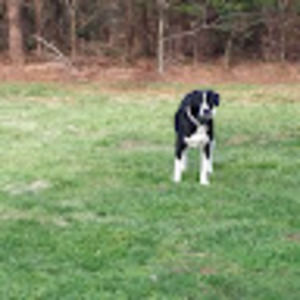 Meet your Posher, Linda